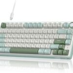 RK ROYAL KLUDGE R75 Gaming Keyboard Wired with Volume Knob, 75% Keyboard Gasket Mounted, Hot Swappable, Creamy Sound, MDA Profile, PBT Keycaps
